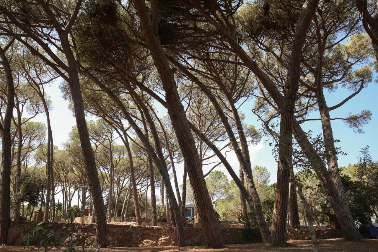 Camping 3 Estrellas Costa Brava Vall-Llobrega Exterior photo